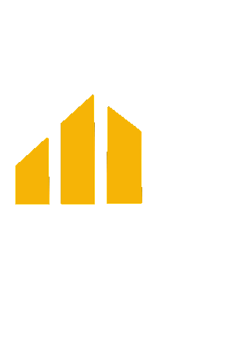 CEO Financial Intelligence